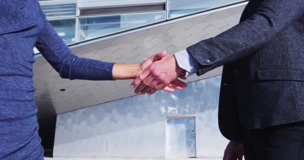 Business Handshake Male Female Professional Colleagues Shaking Hands Good Deal — Vídeo de Stock
