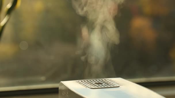 Humidifier Making Hot Steam Increase Humidity Dry Winter Weather Indoor — Vídeo de Stock