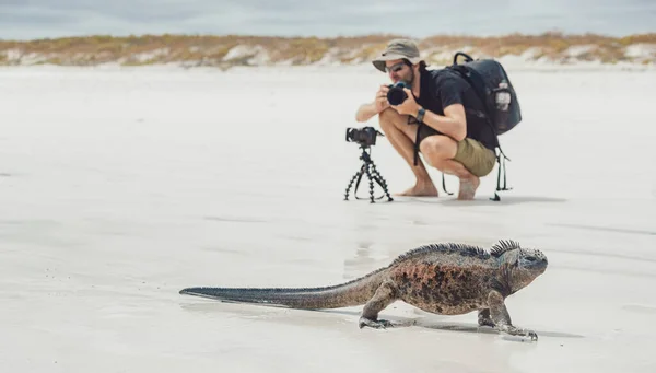 Galapagos Islands Wildlife Photography Photographer Tourist Man Taking Photos Marine — 图库照片