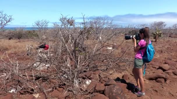 Vogelfotograaf Maakt Foto Van Frigatebirds Nests Galapagos Tourist Groep Van — Stockvideo