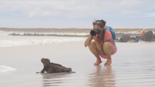 Turysta Wyspach Galapagos Fotografuje Marine Iguana Ptaka Plaży Tortuga Bay — Wideo stockowe