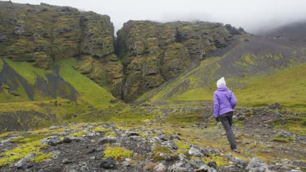 アイスランドのハイキング観光客ハイキング観光客が訪問Raudfeldsgjaキャニオンの峡谷は 西アイスランドのSnaefellsnes半島の自然景観を裂いています レッド エピック スローモーション — ストック動画