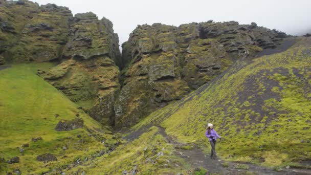 Iceland Hiker Tourist Sightseeing Visiting Raudfeldsgja Canyon Gorge Rift Nature — Vídeo de Stock