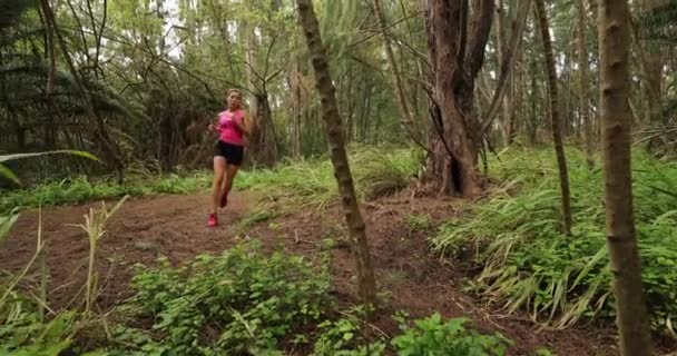 妇女参加森林健身训练 过着健康 积极的户外生活 美国夏威夷瓦胡岛的女赛跑选手 — 图库视频影像