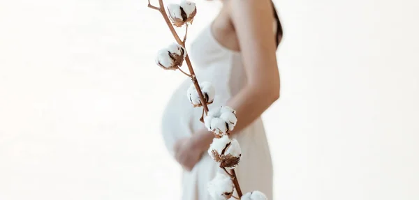 妊婦や新生児のための有機綿の服の概念 綿の花Cotten草と妊娠中の期待のお母さんショー赤ちゃんバンプ腹身に着けて有機綿のドレス — ストック写真