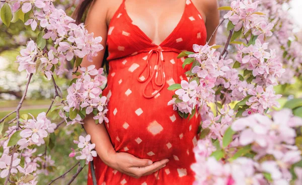 Cierre Vientre Mujer Embarazada Con Flores Retrato Del Embarazo Árboles —  Fotos de Stock