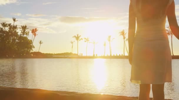 夕暮れ時のロマンチックなカップルは 新婚旅行の休暇旅行の休日に設定された太陽を見てビーチで手をつないでいます 美しい太陽の光のフレアと夜に手をつないで女性の男性 Big Island ハワイ アメリカ — ストック動画