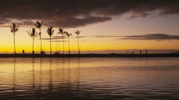 天堂海滩日落与热带棕榈树 美国夏威夷州大岛的夏季旅游度假 多姿多彩的概念视频 — 图库视频影像