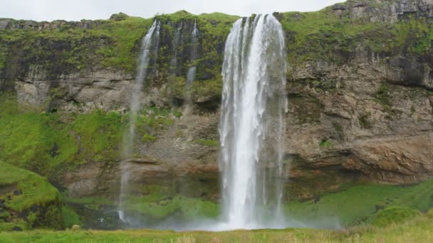 Исландский Водопад Seljalandsfoss Красивом Исландском Ландшафте Знаменитая Туристическая Достопримечательность Природные — стоковое видео