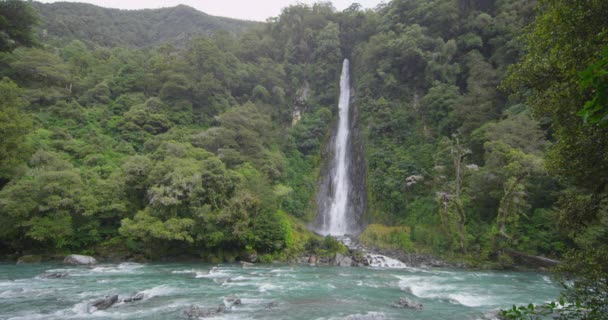 Nuova Zelanda Cascata Paesaggio Naturale Cascata Thunder Creek Falls Haast — Video Stock