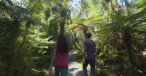 Люди Подорожують Новій Зеландії Мандрівки Мандрують Лісовими Ландшафтами Затоці Корабель — стокове відео