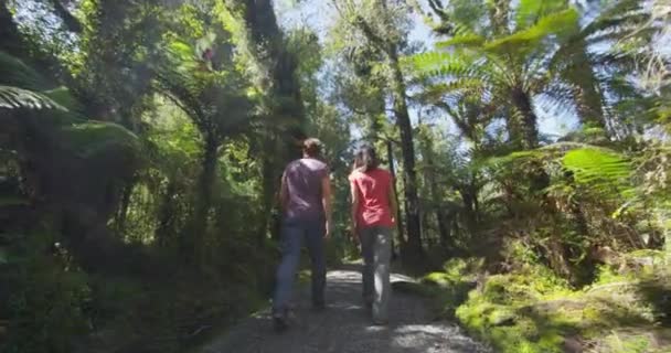 Wandelend Stel Nieuw Zeeland Mensen Wandelen Moerasbos Natuurlandschap Ship Creek — Stockvideo