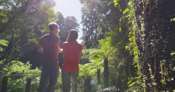 Wandelen Mensen Nieuw Zeeland Moeras Bos Het Nemen Van Foto — Stockvideo