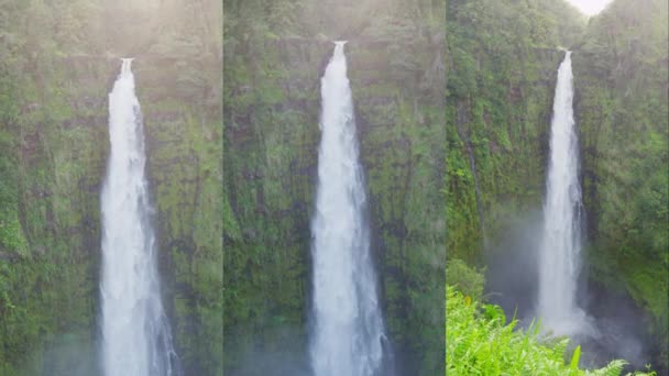 Hawaii Akaka Falls Verticale Video Hawaï Waterval Big Island Prachtige — Stockvideo
