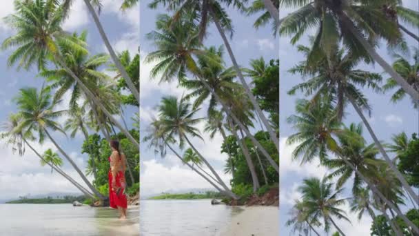 Vertikal Video Beach Vacation Travel Holidays Franska Polynesien Paradisstrand Med — Stockvideo