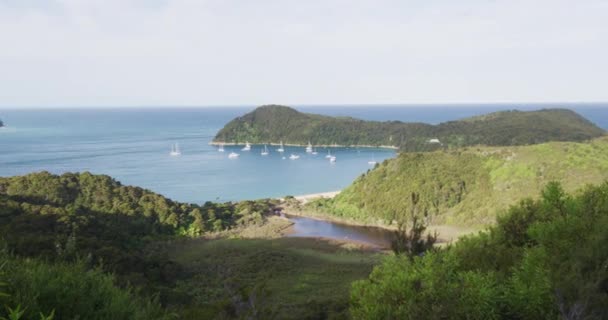 新西兰旅游度假海滩目的地Abel Tasman国家公园 从新西兰南岛Abel Tasman海岸轨道看安克雷奇的自然景观 红色Epic慢速运动 — 图库视频影像