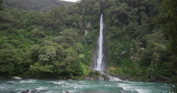 Nuova Zelanda Cascata Paesaggio Naturale Cascata Thunder Creek Falls Haast — Video Stock