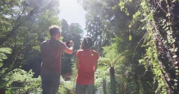 Randonnées Pédestres Dans Forêt Marécageuse Néo Zélandaise Prenant Des Photos — Video