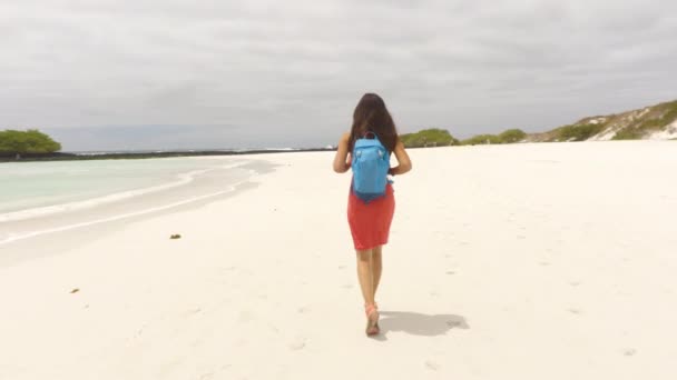Turysta Galapagos Spacerujący Plaży Cieszący Się Niesamowitym Krajobrazem Natury Plaży — Wideo stockowe