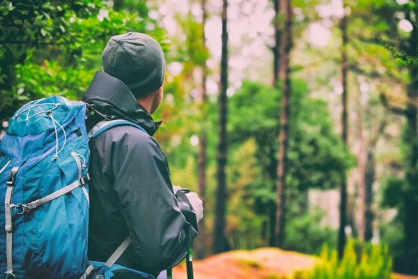Wandersmann Auf Trekkingtour Mit Tasche Hut Wanderstöcken Aktive Lifestylemenschen Beim — Stockfoto