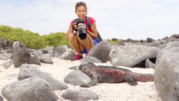 Ilhas Galápagos Iguana Natal Fotógrafo Turístico Tirar Fotografias Iguana Marinha — Vídeo de Stock