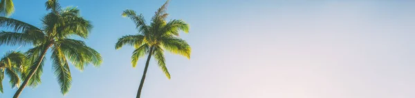青い空のバナーパノラマ 熱帯カリブ海の旅行先に対する夏のビーチの背景ヤシの木 — ストック写真