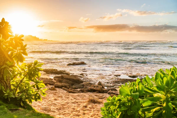Hawaï Strand Landschap Bij Zonsondergang Oahu Eiland Aloha Zomer Reisbestemming — Stockfoto