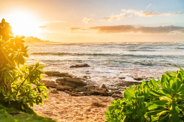 Hawaii Strandlandschaft Bei Sonnenuntergang Insel Oahu Aloha Sommerreiseziel — Stockfoto