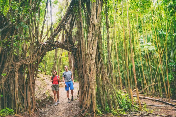 夏威夷徒步旅行者在茂密的热带雨林中漫步 在班延树和竹子中远足 瓦胡岛旅行 观光客欢天喜地 — 图库照片