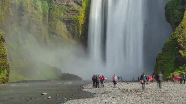 Islanda Cascata Skogafoss Nel Paesaggio Naturale Islandese Video Timelapse Famosa — Video Stock