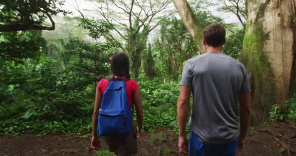 Подорожуючі Люди Гуляють Джунглями Оаху Гаваї Сша Молода Жінка Чоловік — стокове відео