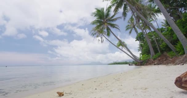 Plaj Tatili Cennet Sahillerinde Palmiye Ağaçları Ile Seyahat — Stok video