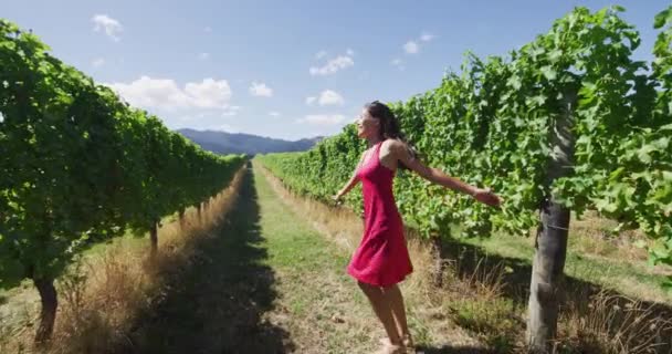나라의 분홍색 여자가 포도나무 사이를 뛰어다니고 있습니다 이화창 포도원을 답사하는 — 비디오