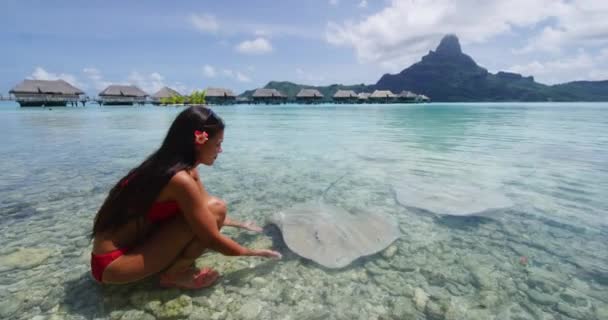 Bora Bora 여성은 스트링 Stingray 프랑스령 폴리네시아의 야생성을 이용해 방갈로 — 비디오