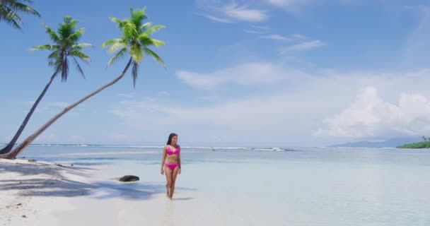 ビーチバケーションパラダイスピンクビキニの日焼け女性青い空とヤシの木とカリブ海の熱帯牧歌的な夏の背景に日焼け旅行休暇を楽しんで歩く スローモーション — ストック動画