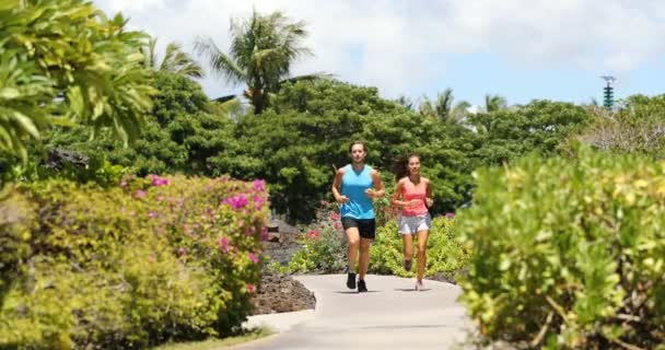 Yaz Parkında Koşan Spor Koşucuları Güzel Bir Yaz Gününde Kardiyo — Stok video