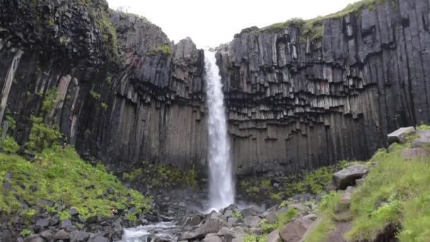 Wasserfall Svartifoss Skaftafell Auf Island Berühmte Touristenattraktion Islands Spektakuläres Naturdenkmal — Stockvideo