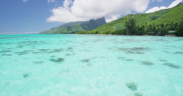 Luxury Travel Destination Oceanfront Overwater Bungalow Villa View Coral Reefs — Stock Video