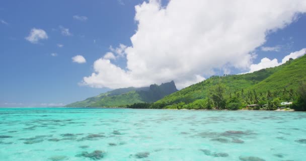 Tahiti Oceano Paisagem Água Natureza Exótica Ilha Moorea Polinésia Francesa — Vídeo de Stock