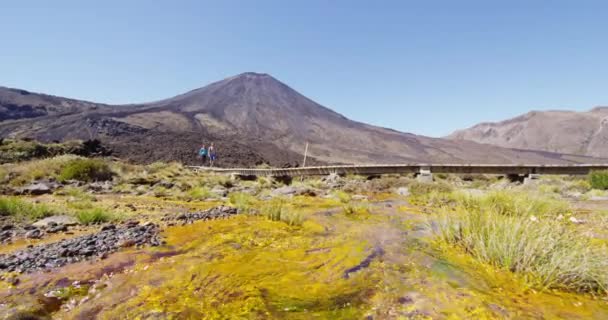 Nova Zelândia Fluxo Fluindo Com Monte Ngauruhoe Fundo Parque Nacional — Vídeo de Stock