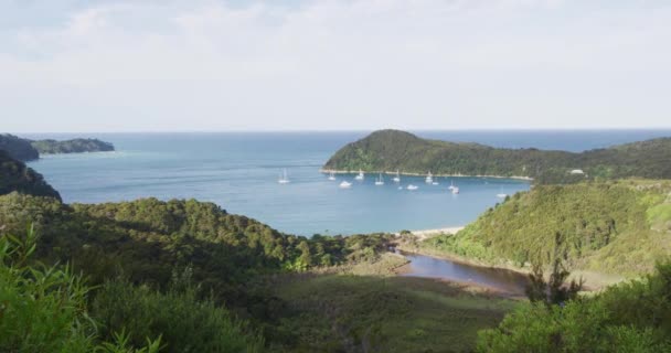 Abel Tasman国家公园新西兰旅行度假海滩目的地 从新西兰南岛Abel Tasman海岸轨道看安克雷奇的自然景观 红色Epic慢速运动 — 图库视频影像