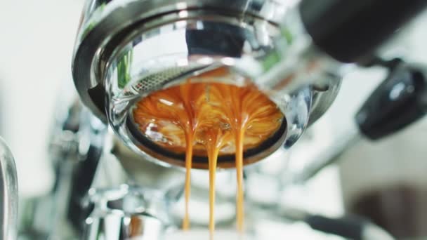 Cafetera Espresso Tirando Doble Toma Café Espresso Portafilter Desnudo Sin — Vídeo de stock