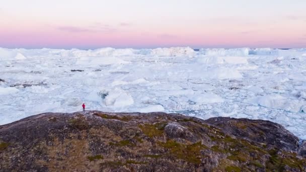 带着冰山在北极的自然景观中旅行 格陵兰游客探险家 观光客 观看令人惊奇的格陵兰冰峡湾 空中视频 Ilulissat的人被冰和冰山覆盖 — 图库视频影像