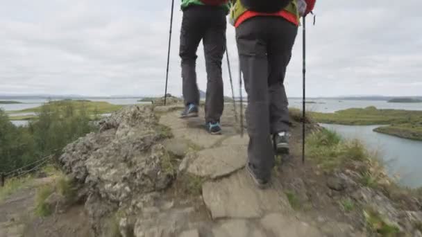两人一起徒步旅行 并在大自然中给自己拍了一张电话自拍照 徒步旅行的人 带着远足的柱子 在美丽的风景中行走 冰岛Myvatn湖 是的特技射击 — 图库视频影像