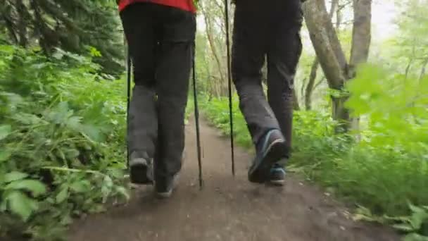 Escursioni Persone Piedi Sul Sentiero Forestale Con Bastoni Trekking Scarpe — Video Stock