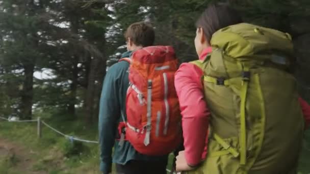 Πεζοπορία Ανθρώπων Που Περπατούν Στο Δάσος Φορώντας Σακίδια Στην Πεζοπορία — Αρχείο Βίντεο