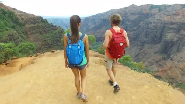 Pár Túrázás Waimea Canyon Túrán Waimea Canyon State Parkban Kauai — Stock videók