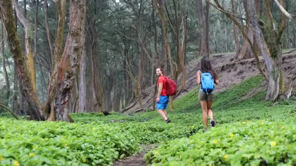 Hombre Mujer Feliz Pareja Excursionistas Senderismo Bosque Verde Jóvenes Caminando — Vídeos de Stock