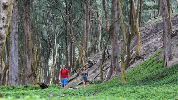 Turistický Pár Lese Lidé Těší Rekreační Aktivity Procházky Lesní Cestě — Stock video