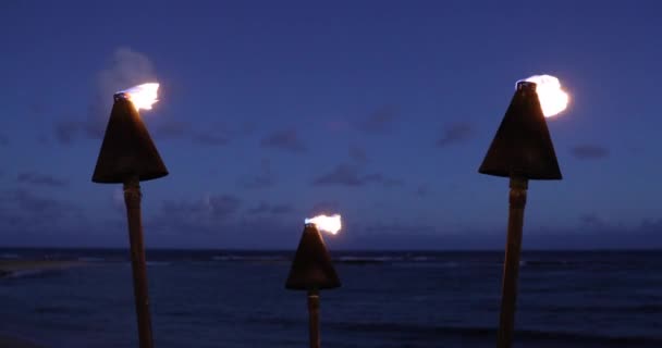 Tramonto Alle Hawaii Con Accese Torce Tiki Icona Hawaiana Luci — Video Stock
